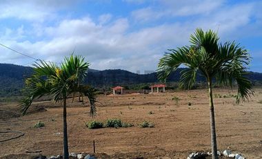 Venta Macrolote en Puerto Cayo, Karig