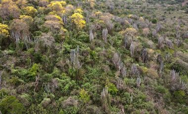 Venta Macrolote en Puerto Cayo, Karig