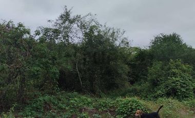 FINCA EN VENTA LOS BAJOS MONTECRISTI