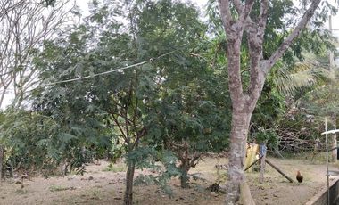 FINCA EN VENTA LOS BAJOS MONTECRISTI