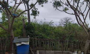 FINCA EN VENTA LOS BAJOS MONTECRISTI