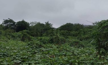 FINCA EN VENTA LOS BAJOS MONTECRISTI