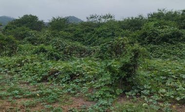 FINCA EN VENTA LOS BAJOS MONTECRISTI