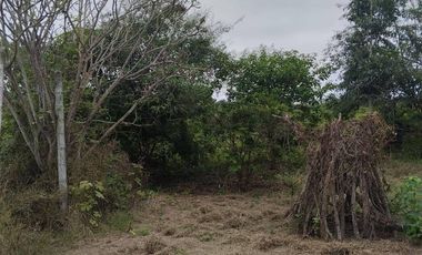 FINCA EN VENTA LOS BAJOS MONTECRISTI