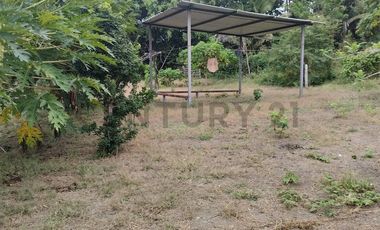 FINCA EN VENTA LOS BAJOS MONTECRISTI