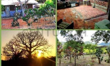 FINCA EN VENTA LOS BAJOS MONTECRISTI