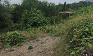 FINCA EN VENTA LOS BAJOS MONTECRISTI