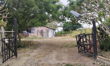FINCA EN VENTA LOS BAJOS MONTECRISTI