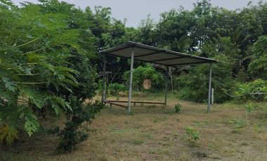 FINCA EN VENTA LOS BAJOS MONTECRISTI