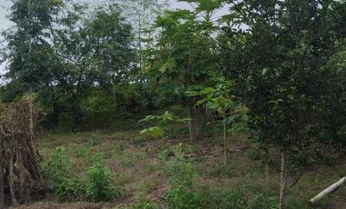 FINCA EN VENTA LOS BAJOS MONTECRISTI