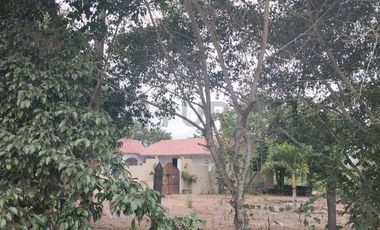 FINCA EN VENTA LOS BAJOS MONTECRISTI