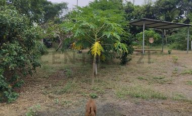 FINCA EN VENTA LOS BAJOS MONTECRISTI