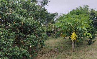 FINCA EN VENTA LOS BAJOS MONTECRISTI