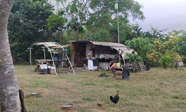 FINCA EN VENTA LOS BAJOS MONTECRISTI