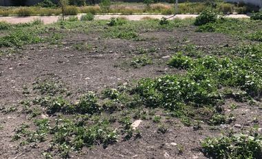 TERRENO EN VENTA CON VISTA AL LAGO, RESIDENCIAL EL ENCINO. 9