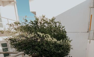 Edificio en Venta para Inversionista, Sombrerete