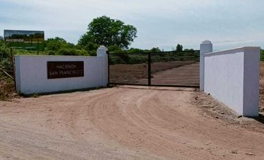 Parcela en venta en PELARCO