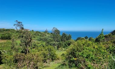 Terreno Construccion  en Venta en Coliumo, Los Morros, Punta Talca