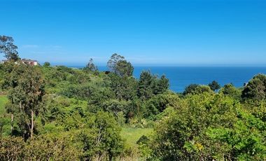 Terreno Construccion  en Venta en Coliumo, Los Morros, Punta Talca