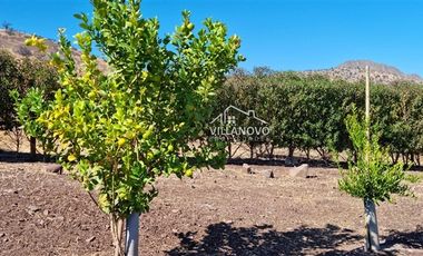 Terreno Construccion  en Venta en Hacienda Chacabuco