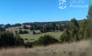 Parcela en Venta en CAMINO A PUNTA DE LOBOS