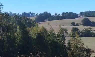 Parcela en Venta en CAMINO A PUNTA DE LOBOS