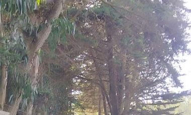 Parcela en Venta en CAMINO A PUNTA DE LOBOS