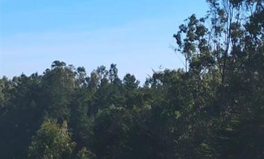 Parcela en Venta en CAMINO A PUNTA DE LOBOS