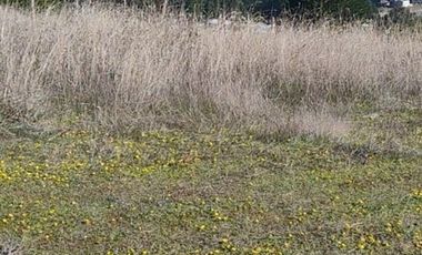 Parcela en Venta en CAMINO A PUNTA DE LOBOS