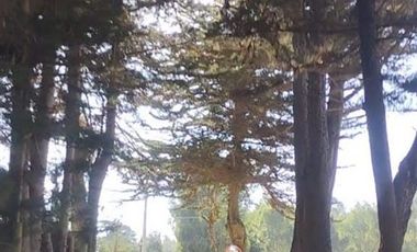 Parcela en Venta en CAMINO A PUNTA DE LOBOS