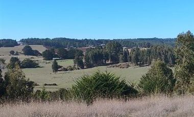 Parcela en Venta en CAMINO A PUNTA DE LOBOS