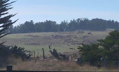 Parcela en Venta en CAMINO A PUNTA DE LOBOS