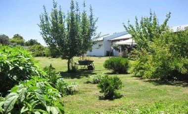 Parcela en Venta en Chacra Santa Aurelia El Bajo Melipilla