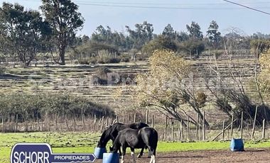 Sitio en Venta en Circunvalación sur Talca, ruta K-630, Unihue, sector industrial , 39 mil m2.