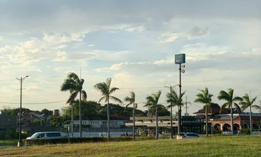 800 sqm.COMMERCIAL LOT FOR SALE in MEGAWORLD GLOBAL-ESTATES INC.