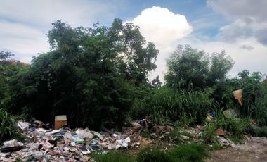 25 Hectares Lot for sale in Cabuyao City Laguna