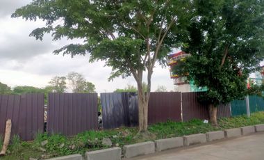 25 Hectares Lot for sale in Cabuyao City Laguna