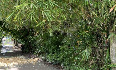 For Sale Formerly Successful AirBnb Triangle Villa Type Resort Business Siargao