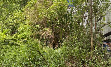 For Sale Formerly Successful AirBnb Triangle Villa Type Resort Business Siargao