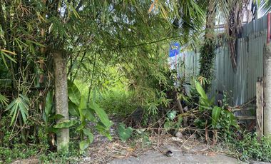 For Sale Formerly Successful AirBnb Triangle Villa Type Resort Business Siargao