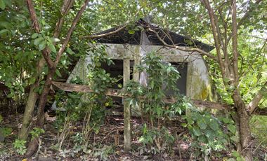 For Sale Formerly Successful AirBnb Triangle Villa Type Resort Business Siargao