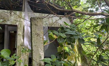 For Sale Formerly Successful AirBnb Triangle Villa Type Resort Business Siargao