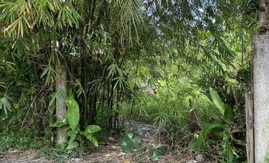 For Sale Formerly Successful AirBnb Triangle Villa Type Resort Business Siargao