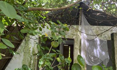 For Sale Formerly Successful AirBnb Triangle Villa Type Resort Business Siargao