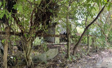 For Sale Formerly Successful AirBnb Triangle Villa Type Resort Business Siargao