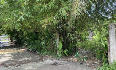 For Sale Formerly Successful AirBnb Triangle Villa Type Resort Business Siargao