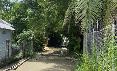 For Sale Formerly Successful AirBnb Triangle Villa Type Resort Business Siargao