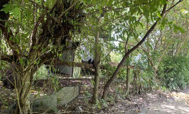 For Sale Formerly Successful AirBnb Triangle Villa Type Resort Business Siargao