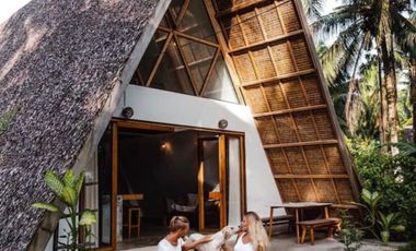For Sale Formerly Successful AirBnb Triangle Villa Type Resort Business Siargao