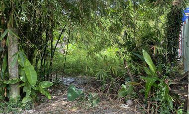 For Sale Formerly Successful AirBnb Triangle Villa Type Resort Business Siargao